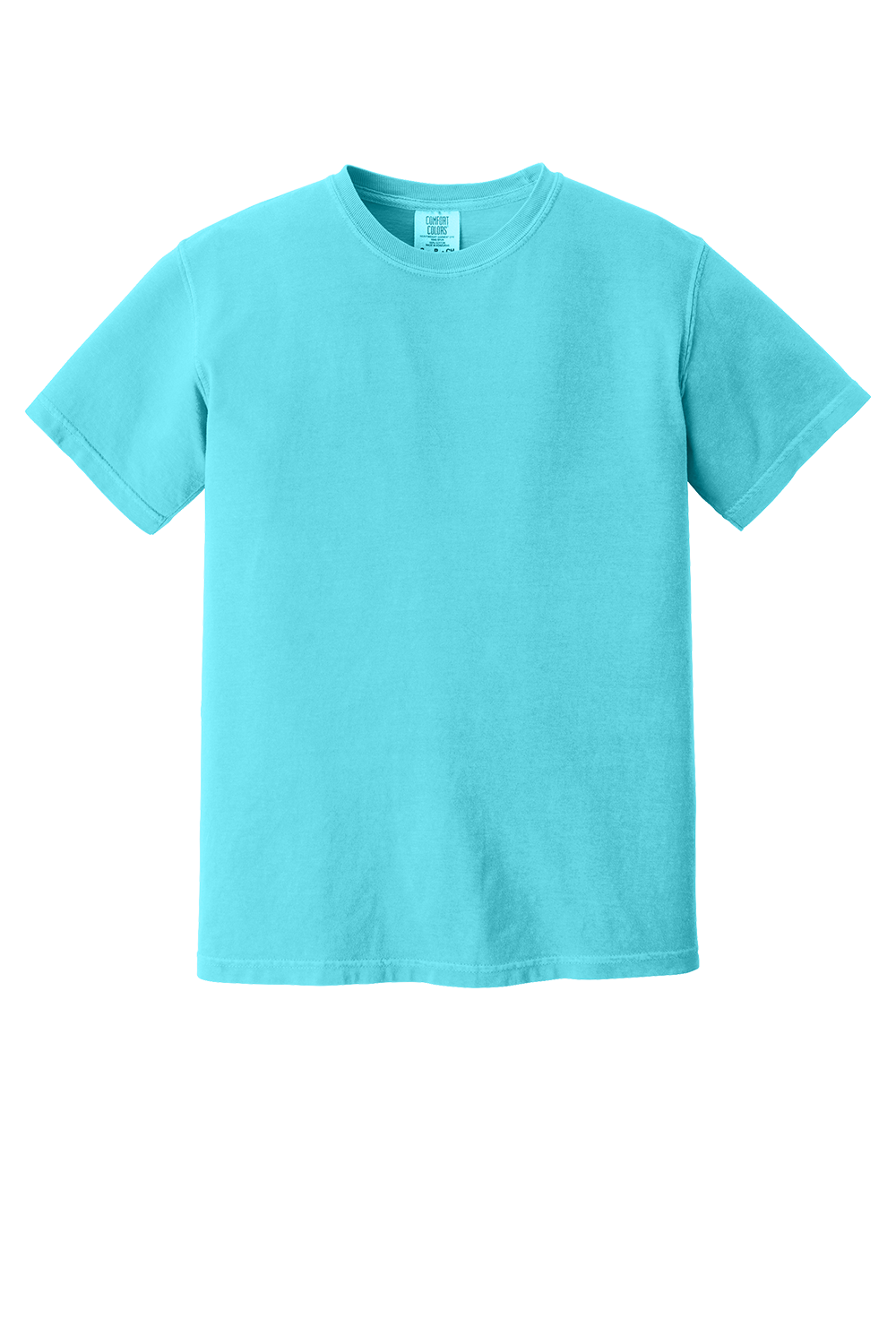 Choose Kindness Comfort Colors  T Shirt
