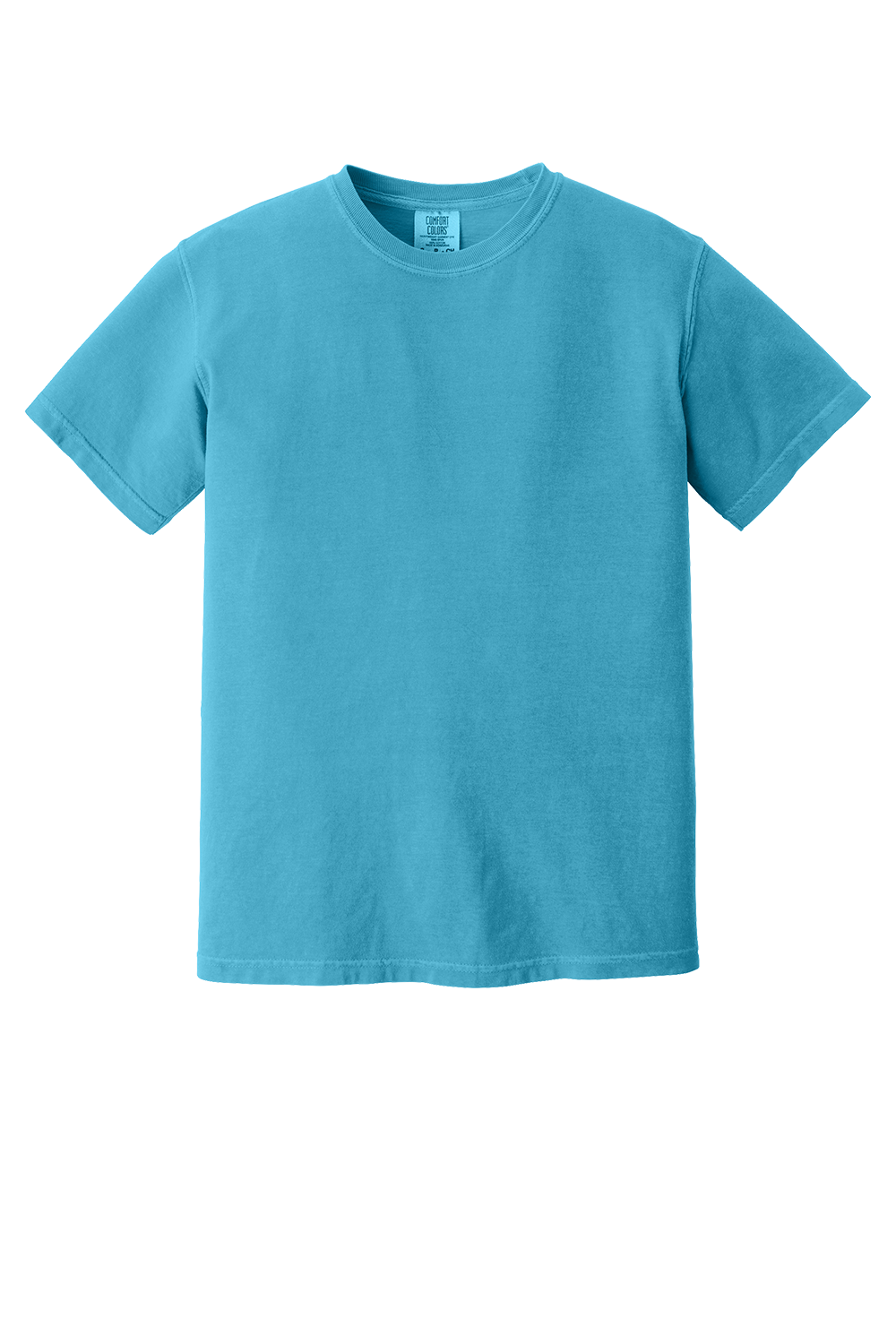 Choose Kindness Comfort Colors  T Shirt